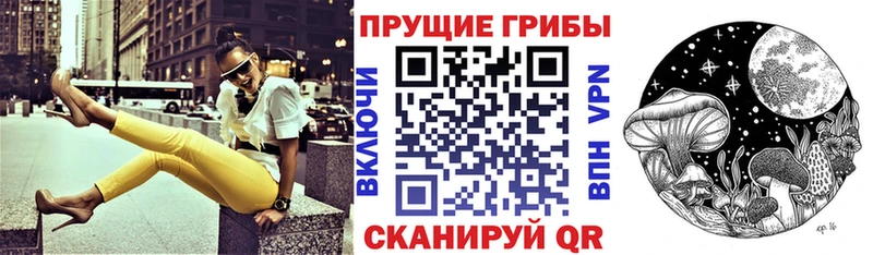 Псилоцибиновые грибы Psilocybine cubensis Межгорье